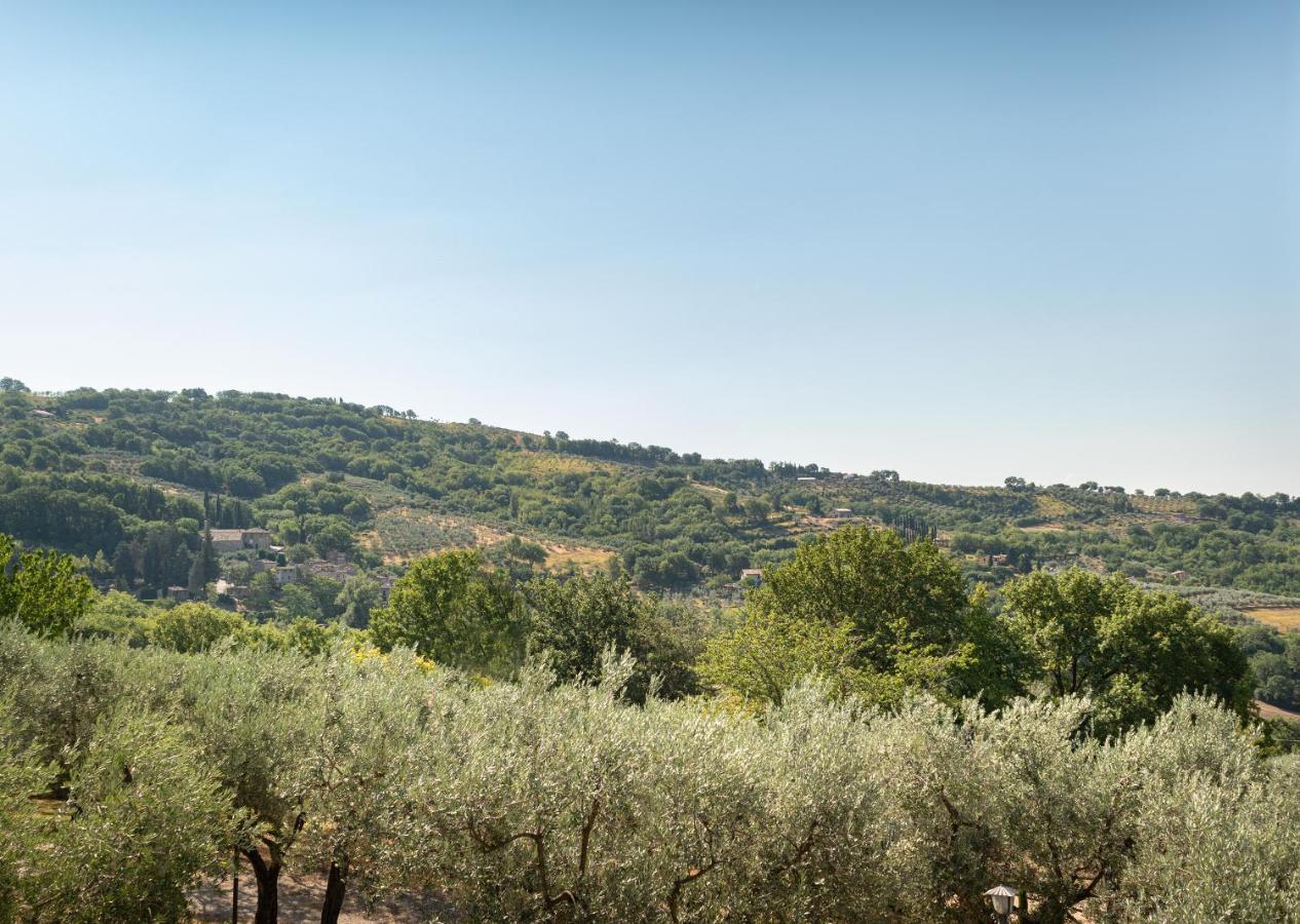Agriturismo La Rocca Assisi Petrignano Екстериор снимка