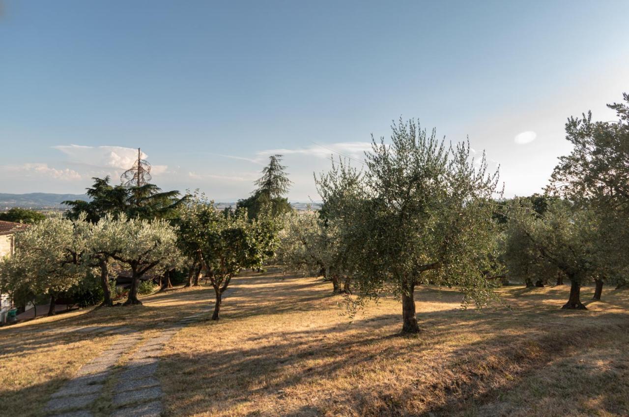 Agriturismo La Rocca Assisi Petrignano Екстериор снимка