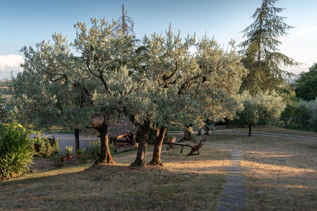 Agriturismo La Rocca Assisi Petrignano Екстериор снимка